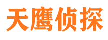 陆丰寻人公司